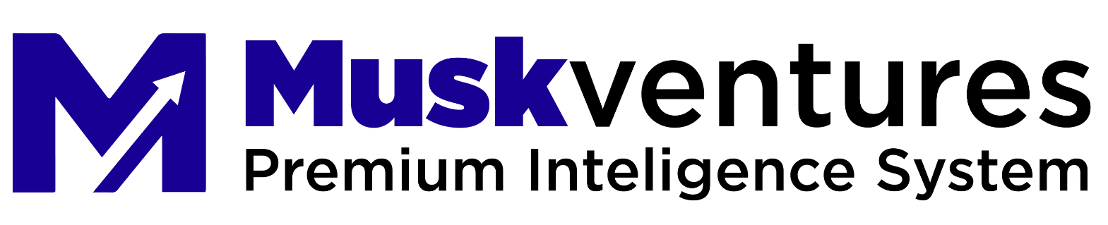 Musk Ventures Logo
